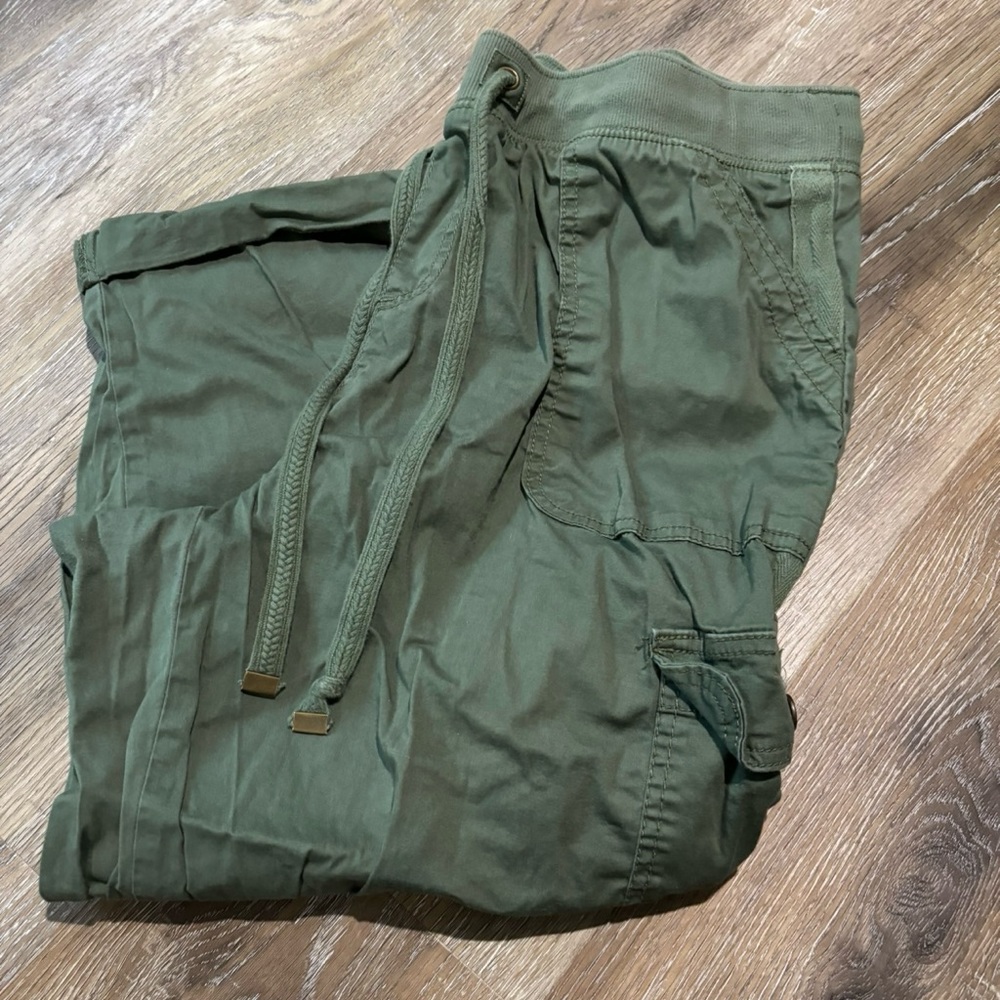 Green capri pants, size 14, Terra Sky brand